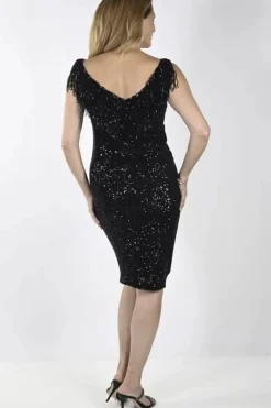 Frank Lyman Paulina Dress | FL271 Best